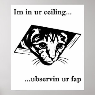 Poster Ubservin u do gato do teto…