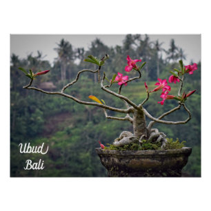 Póster Ubud Viagem, Bali Viagem