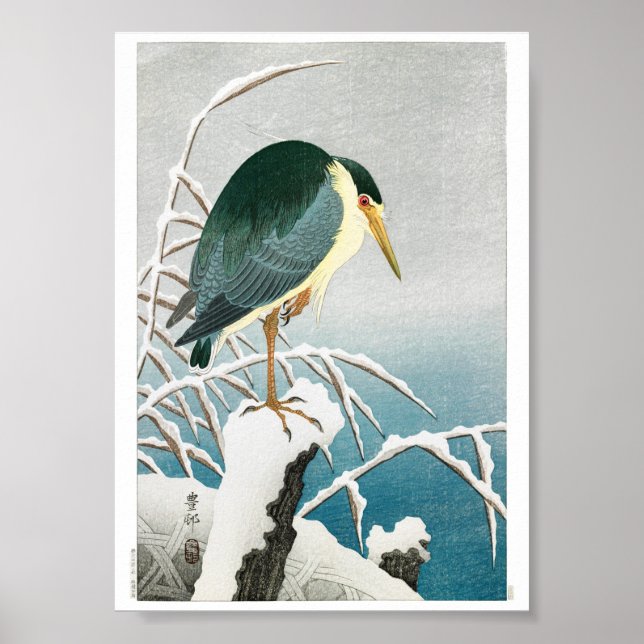 Poster Ukiyoe [Koson] Garça-noturna-de-coroa-preta …(XS) (Frente)