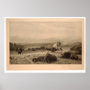 Póster Último do búfalo Bierstadt (0137A) - restaurado