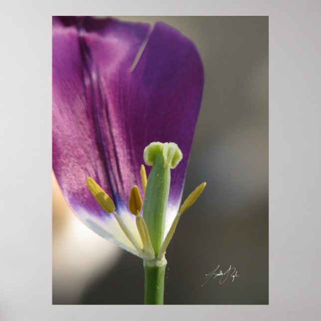 Poster Um à esquerda (Frente)