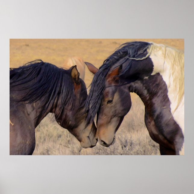 Póster Um Amor aos Cavalos (Frente)