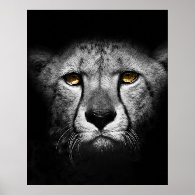 Poster Um animal africano exótico (Frente)