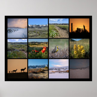 Poster Um ano no Pé da Montanha do Câncer 2024