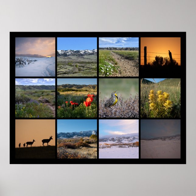 Poster Um ano no Pé da Montanha do Câncer 2024 (Frente)