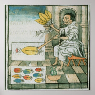Póster Um artesão asteca da pena