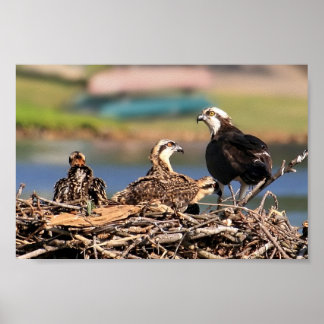 Póster um assunto familiar