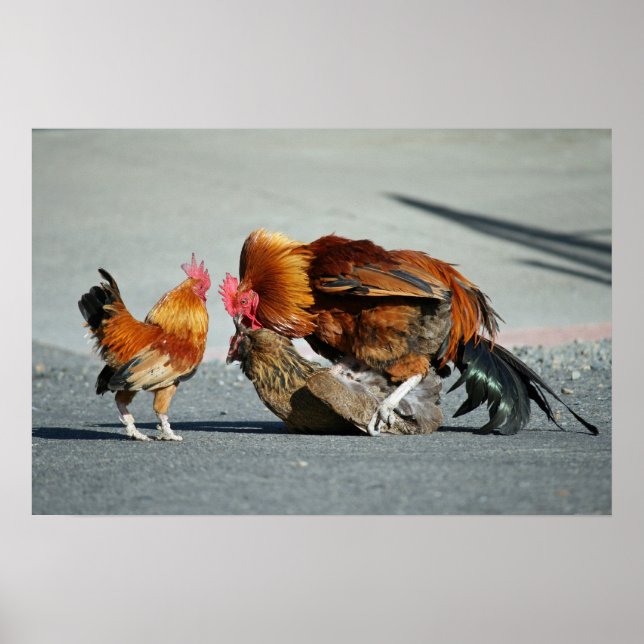 Póster "Um assunto familiar" (Frente)