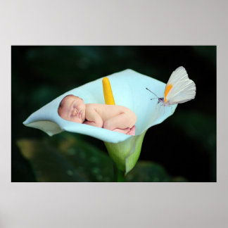 Poster Um bebê e uma flor de lírio