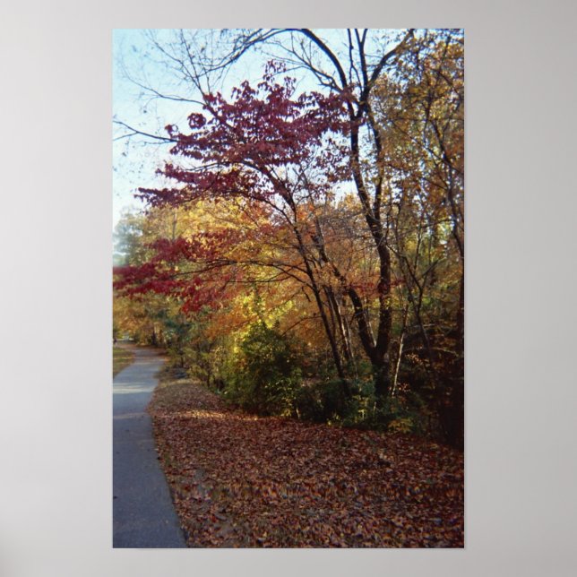 Póster Um belo porto (Frente)