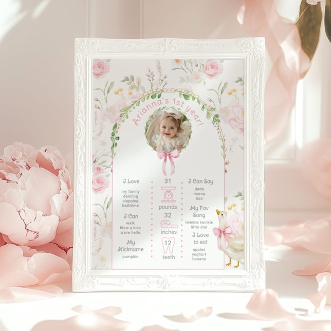 Poster Um Bobo Ganso com a foto da festa do primeiro aniv (Criador carregado)