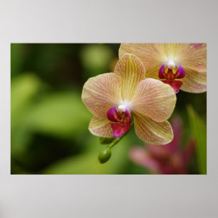 Póster Um bom casal