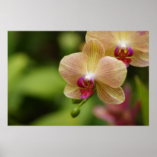 Póster Um bom casal