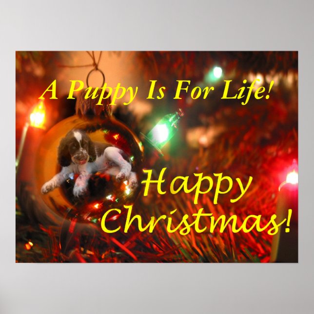 Póster Um Cachorro É Para A Vida! (Frente)