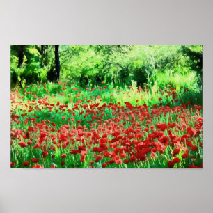 Poster Um Campo De Arte Paisagística De Flores Vermelhas