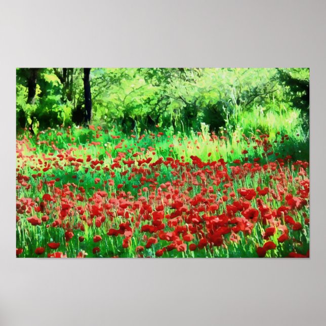 Poster Um Campo De Arte Paisagística De Flores Vermelhas (Frente)