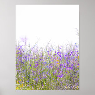 Poster Um campo de wildflowers roxos