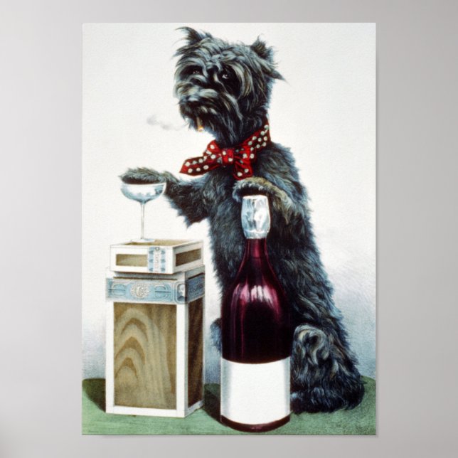 Póster Um cão alegre (Frente)