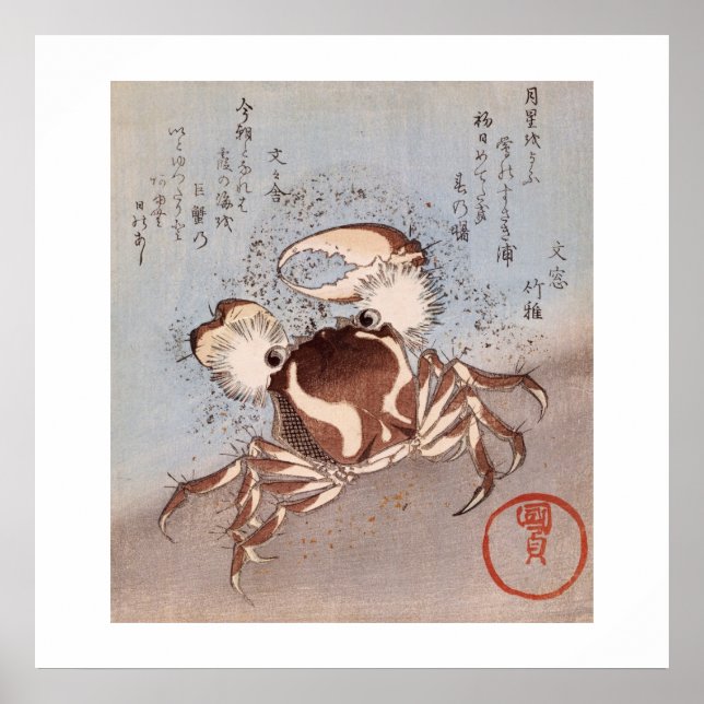 Póster Um Caranguejo na costa (Frente)