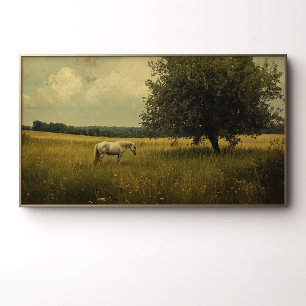 Poster Um Cavalo Branco Pastando Em Um Campo
