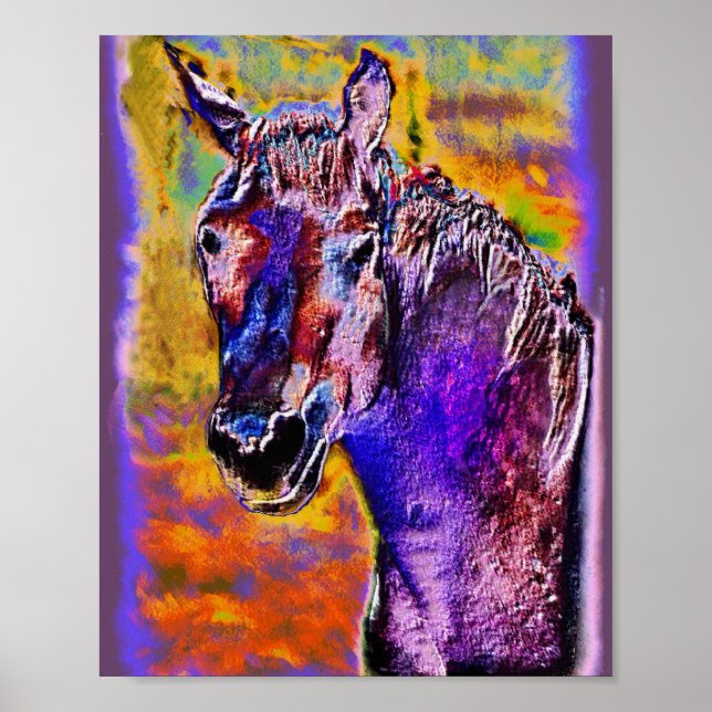 Póster Um Cavalo de Muitas Cores (Frente)