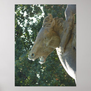 Póster Um Cavalo-fonte de Plaza