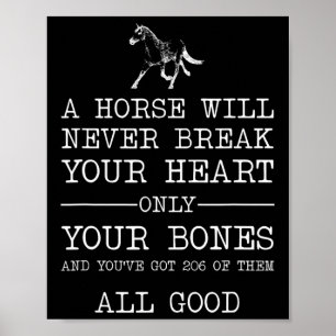Poster Um Cavalo Nunca Quebrará Seu Coração Engraçado Hor