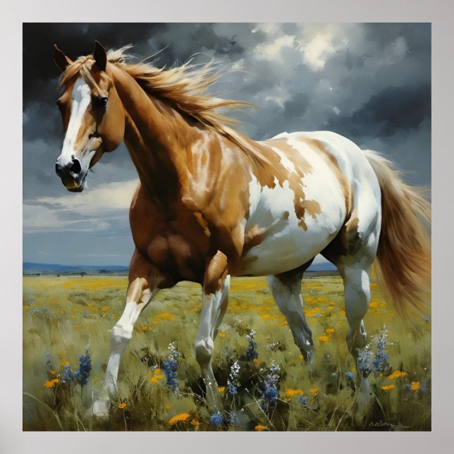 Poster Um cavalo pinto lindo no prado (Frente)