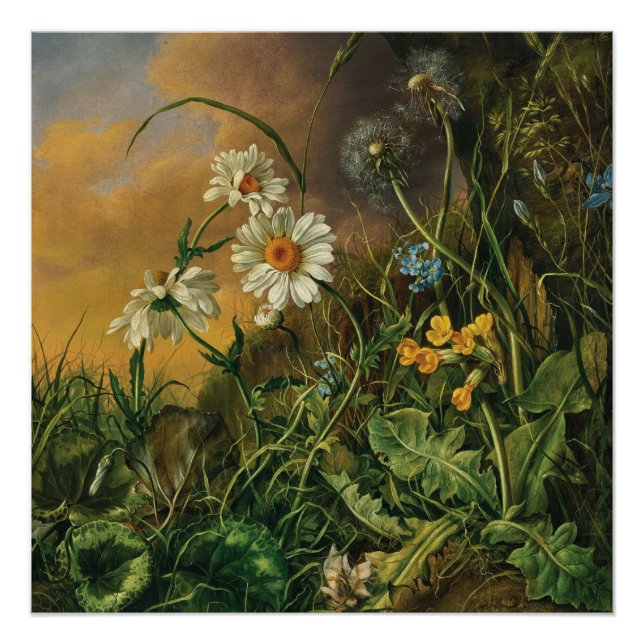Póster Um chão de floresta com margaridas, primroses, ... (Frente)