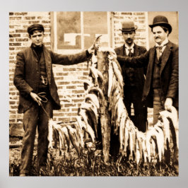 Poster Um Cheio de Peixe Bela Captura para o Dia