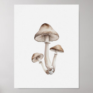 Poster Um cogumelo simples