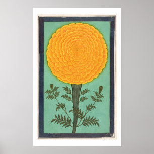 Póster Um cravo-de-defunto, do álbum pequeno de Clive