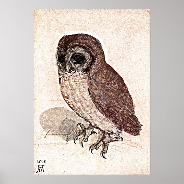 Póster Um Desenho De 500 Anos (Frente)