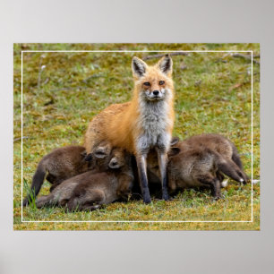 Poster Um dia de Mãe