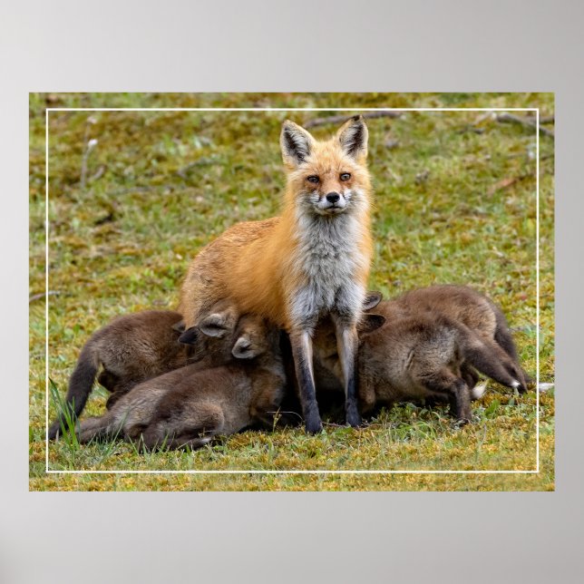 Poster Um dia de Mãe (Frente)