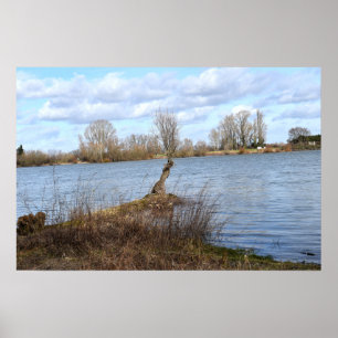 Poster Um dia ensolarado no rio