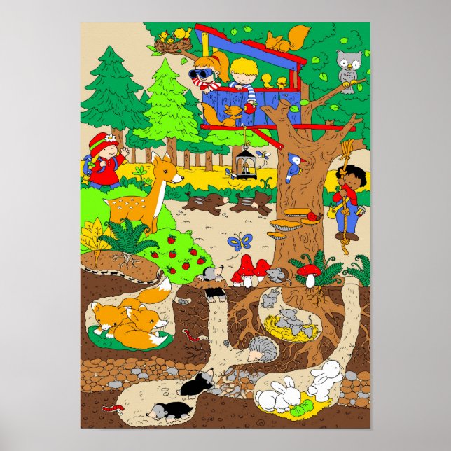 Póster Um dia na floresta (Frente)