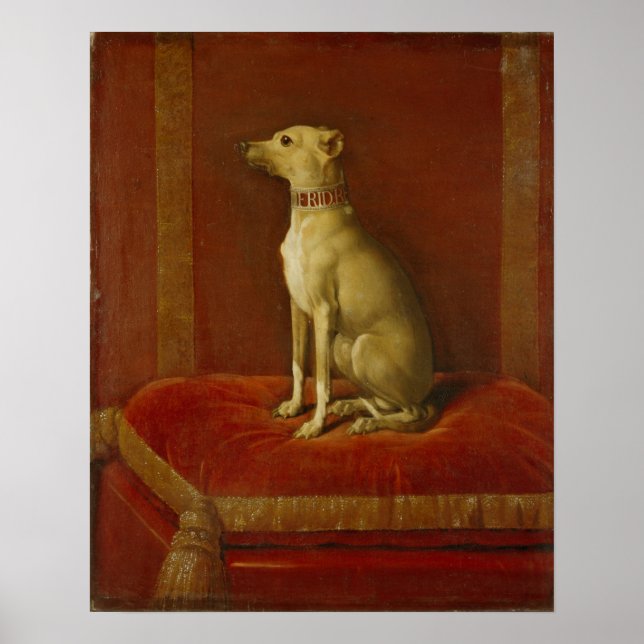 Póster Um dos galgos italianos de Frederick II (Frente)