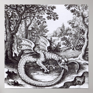 Póster Um dragão na floresta