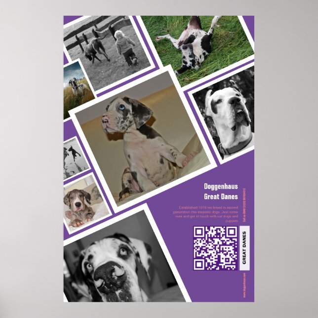 Poster Um enorme cão vendendo (Frente)