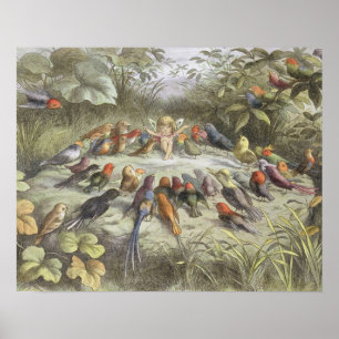Póster Um ensaio na terra feericamente, ilustração de '