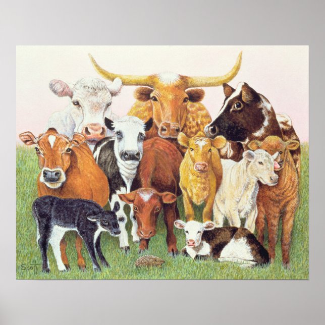 Póster Um estranho surpreendente (Frente)