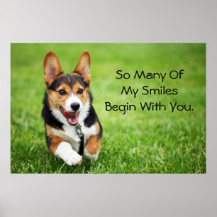 Poster Um filhote de cachorro feliz e energético do Corg
