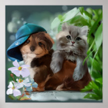 Um filhote e um gatinho cinza