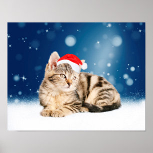 Póster Um gato bonito vestindo o Papai Noel vermelho e a