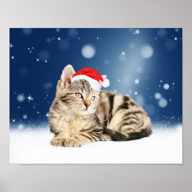 Póster Um gato bonito vestindo o Papai Noel vermelho e a  (Frente)