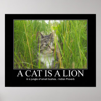 Póster Um Gato é um Trabalho de arte de Proverbo Indiano