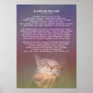 Poster Um gato em meu regaço
