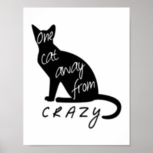 Poster Um gato longe de CRAZY