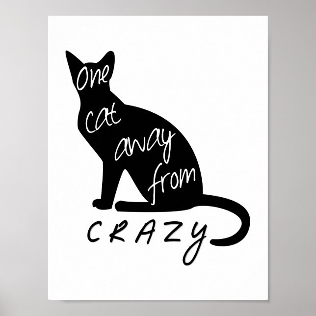 Poster Um gato longe de CRAZY (Frente)